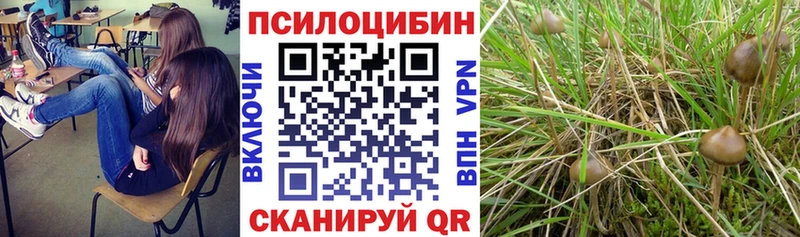 Галлюциногенные грибы Magic Shrooms  Ворсма 